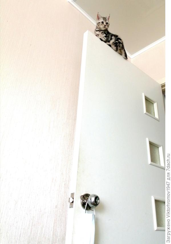 Однако... Высоковато!