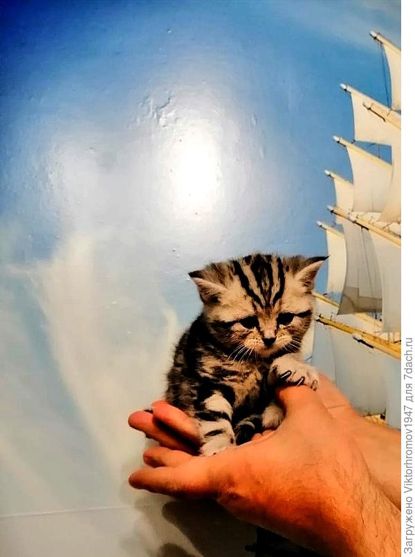 Ну назовите меня... как нибудь!