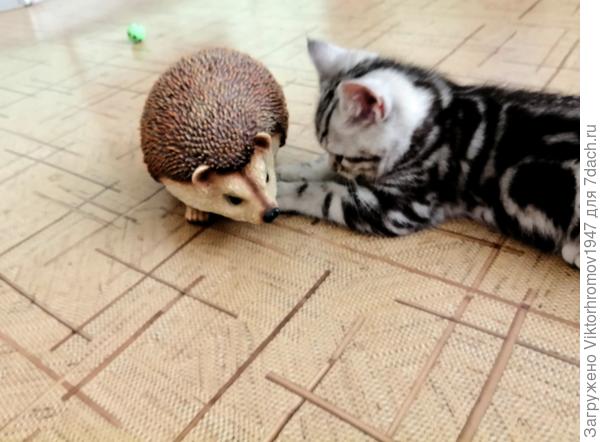 Давай поиграем...