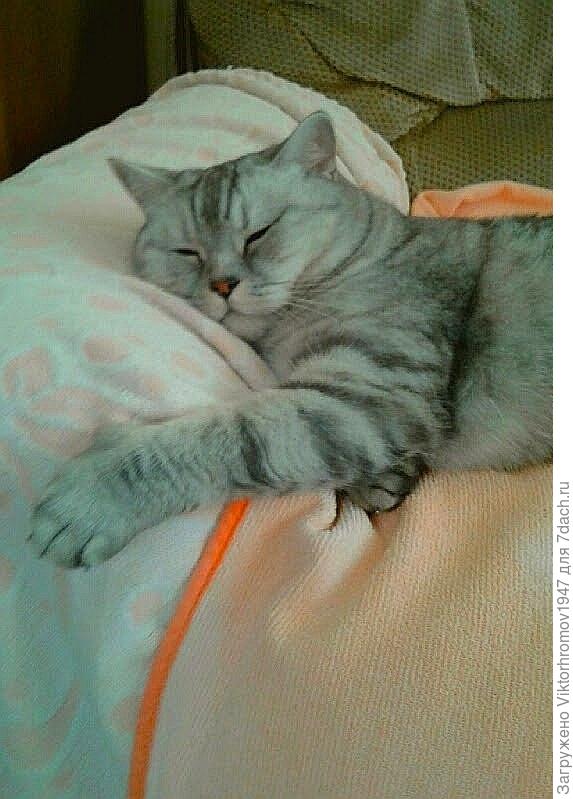 По закону Архимеда...