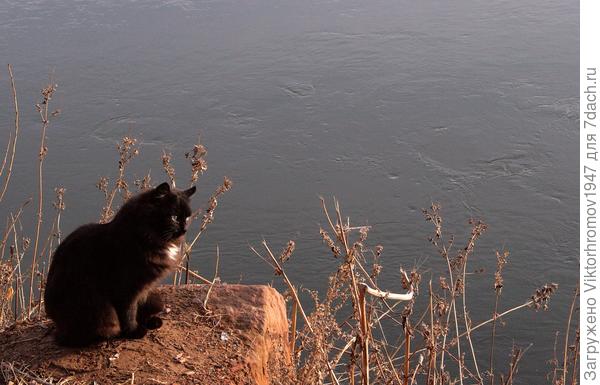 На берегу Урала...
