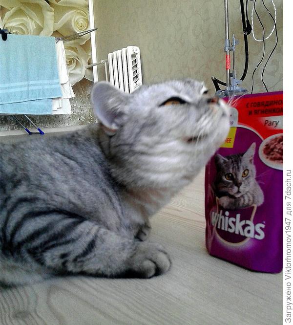 Это я люблю...