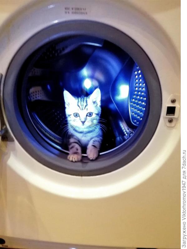 Кто там?... Меня будит...