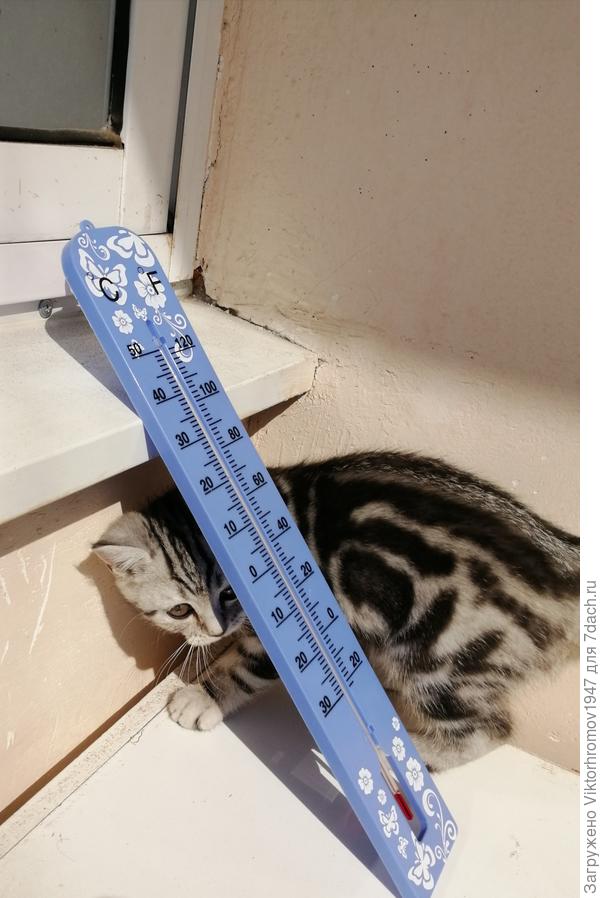 Помочь нужно.