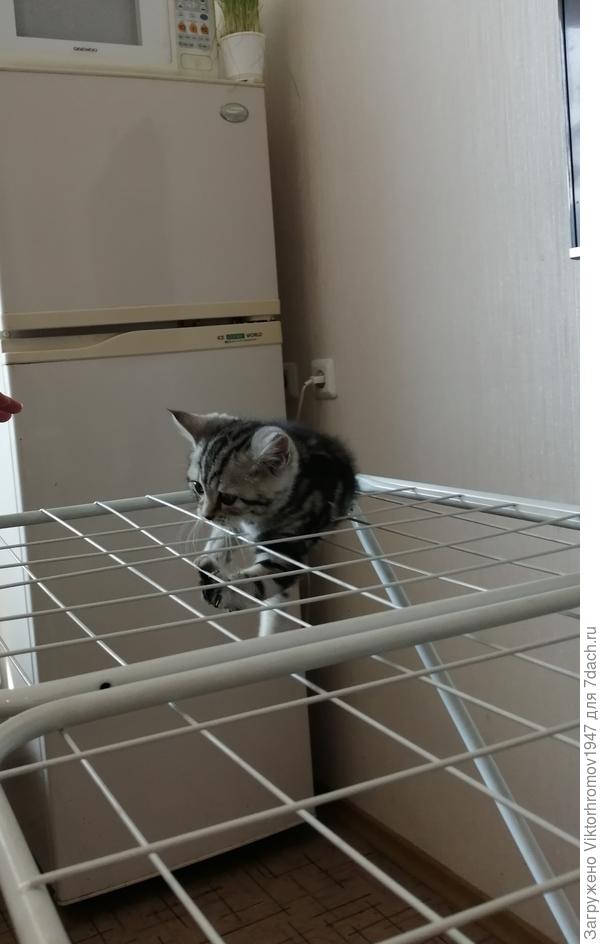 Не знала, что это сушилка для белья.