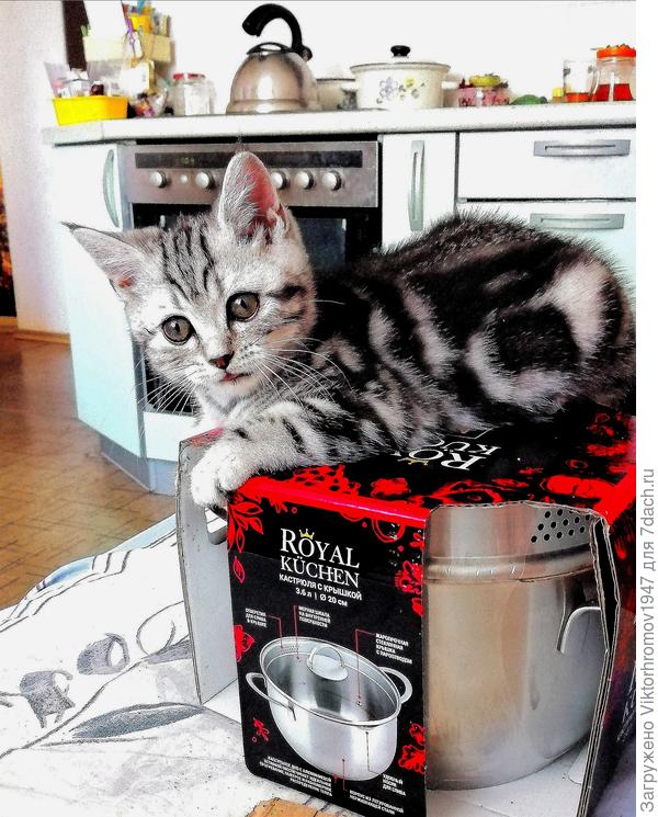 Ух ты, обнова. Надо открыть, проверить.