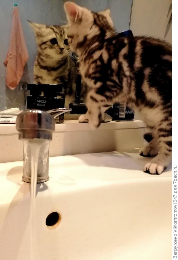 Ну... Как я выгляжу?