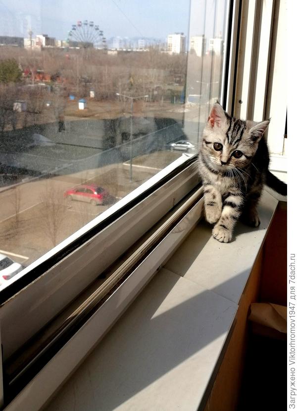 На лоджии...