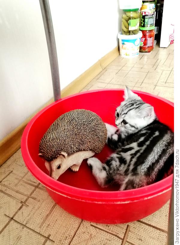 Ну... Налейте нам воды