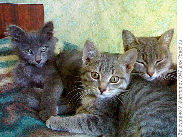 Дружная семейка!