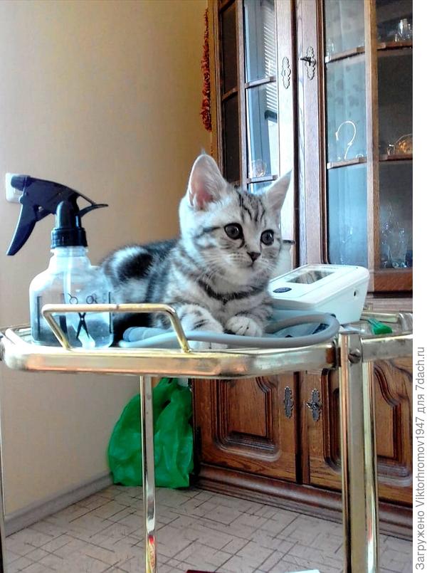 Пора мерить давление...