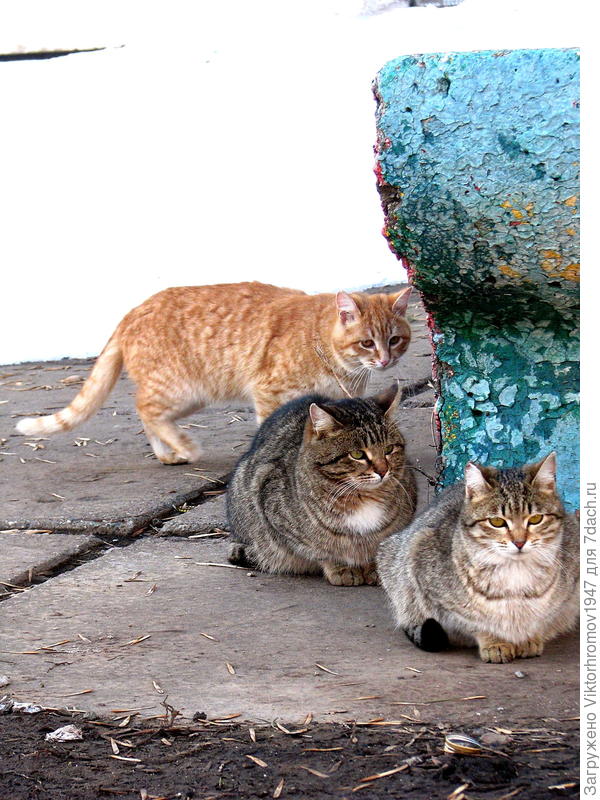 Да здесь Я...