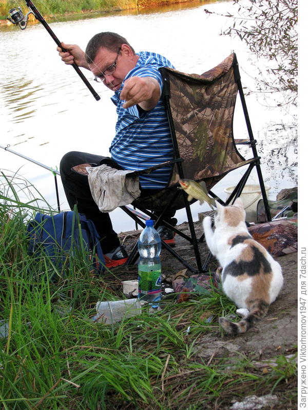 Рыбак и Рыбачка...