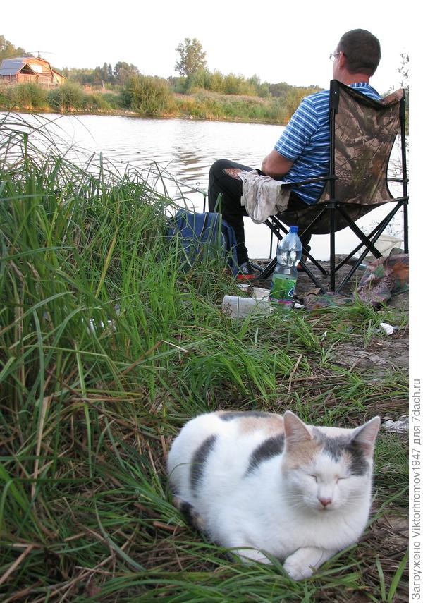 ...сегодня не клюёт...