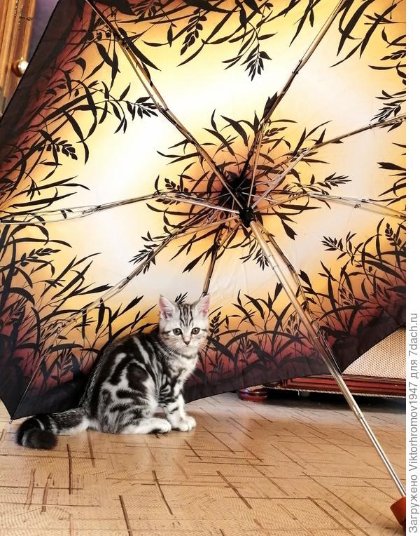 Ну и зачем он мне нужен...