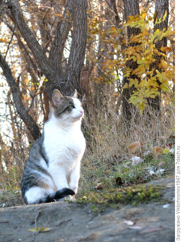 ...Ну ладно фотографируй!