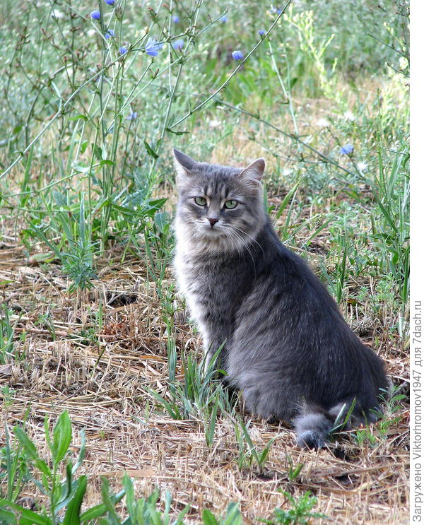 Зовите меня...Краса!