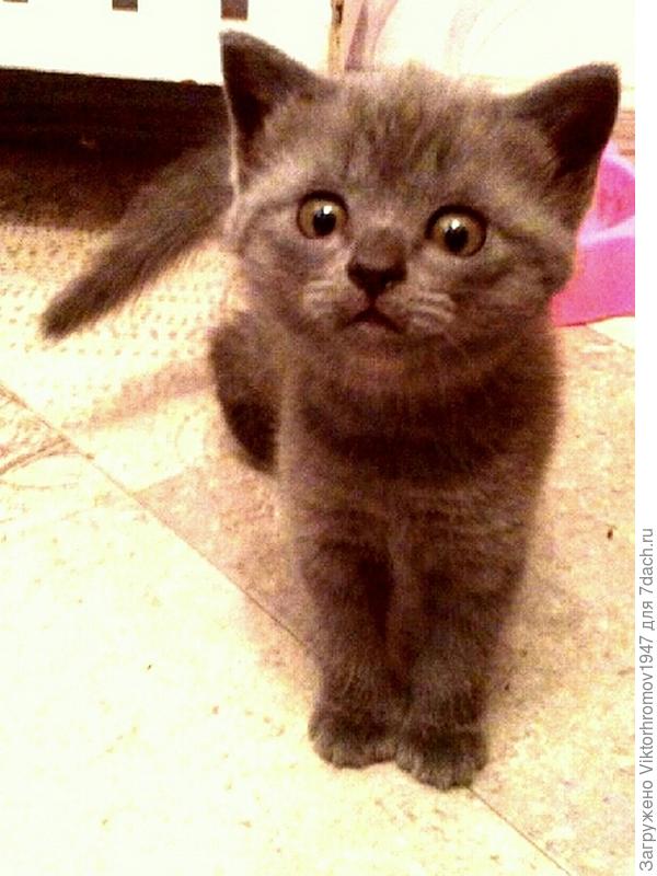 ...как вы меня назвали?