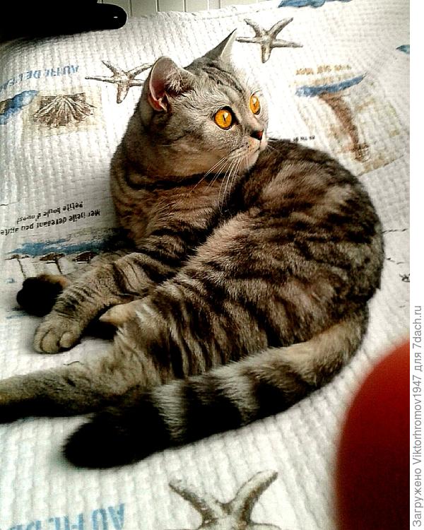 ...опять в окно стучат.