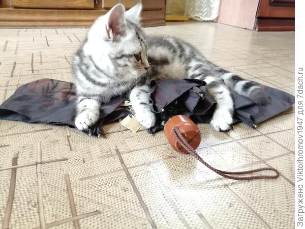 Теперь он мой. Никому не отдам...