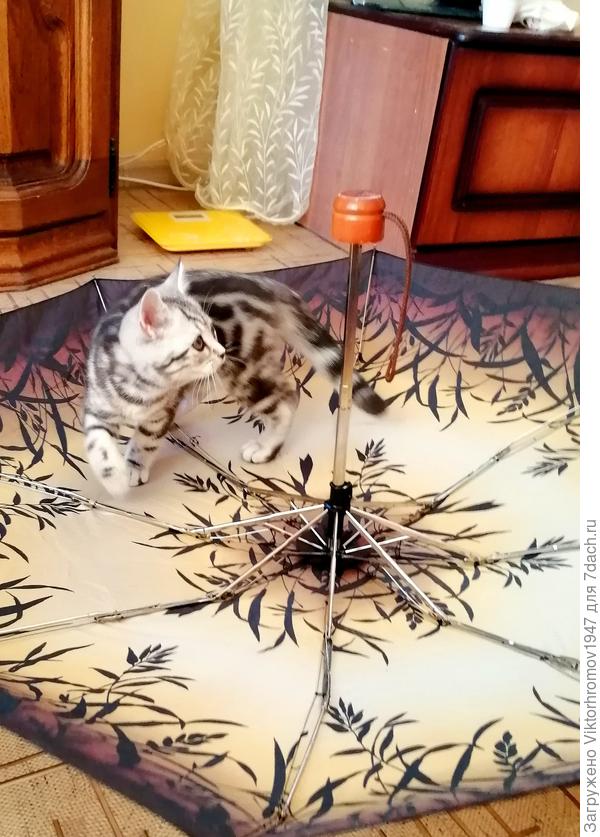 Как же еге закрыть?