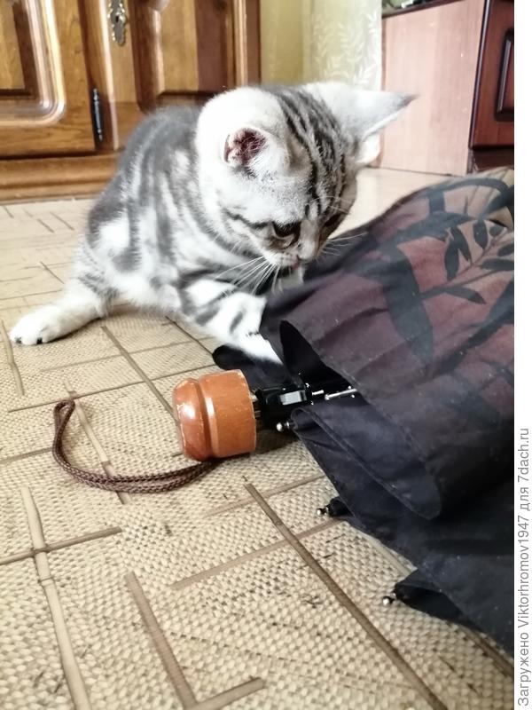 Застегнуть.