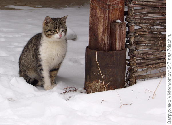 Длинная в этом году была зима.