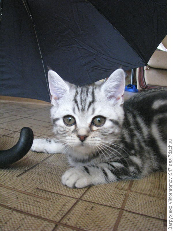 Я бегу искать!