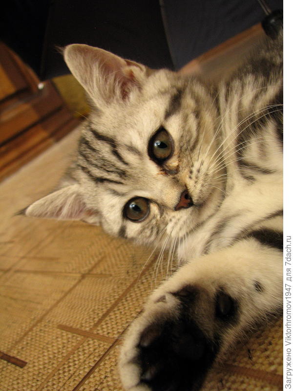 Ну...Поиграйте же со Мной!