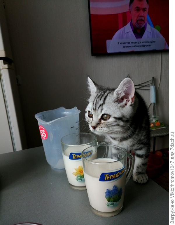 А зачем мне 2 стакана?