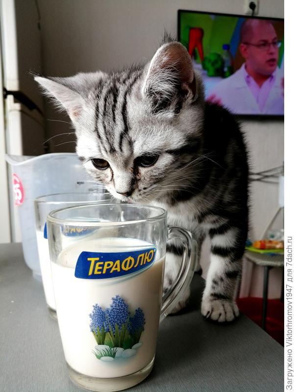 Надо попробовать