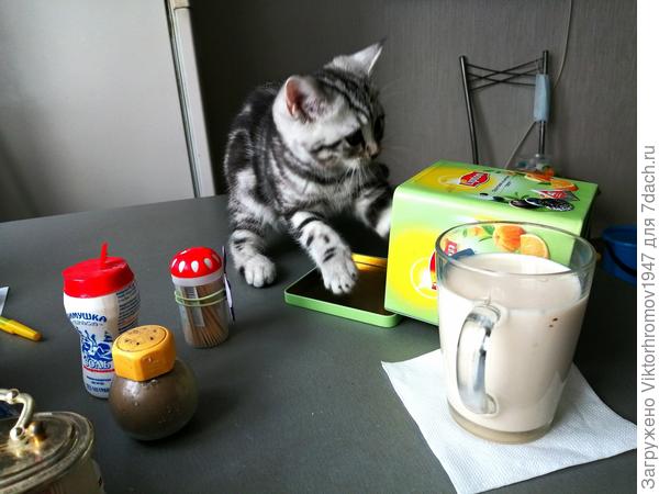 Хулигана на столе...