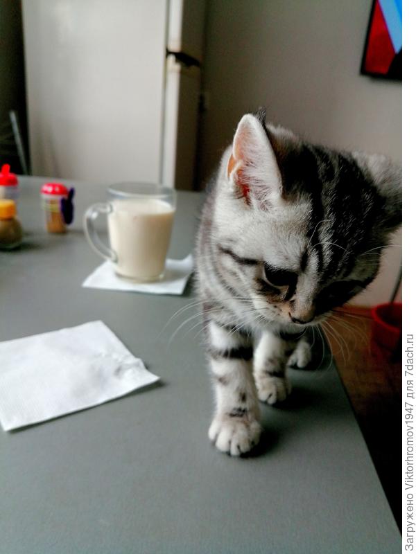 Ну...вот и прогнали. А Я же знала, что нельзя!