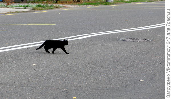 и через сплошную двойную можно.