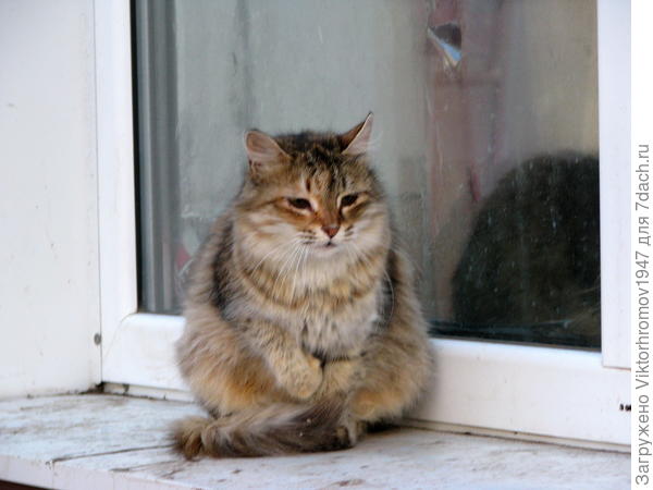 Однако прохладно...