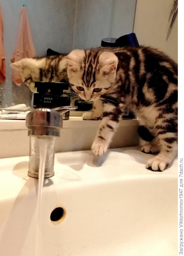 Теперь Я знаю, откуда берётся вода!...