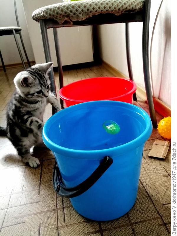 А им надо убираться...