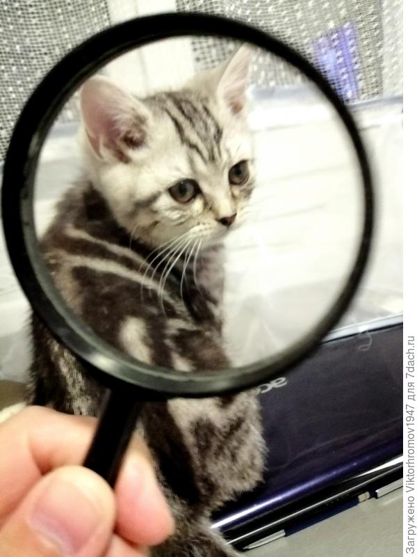 Не приставай!