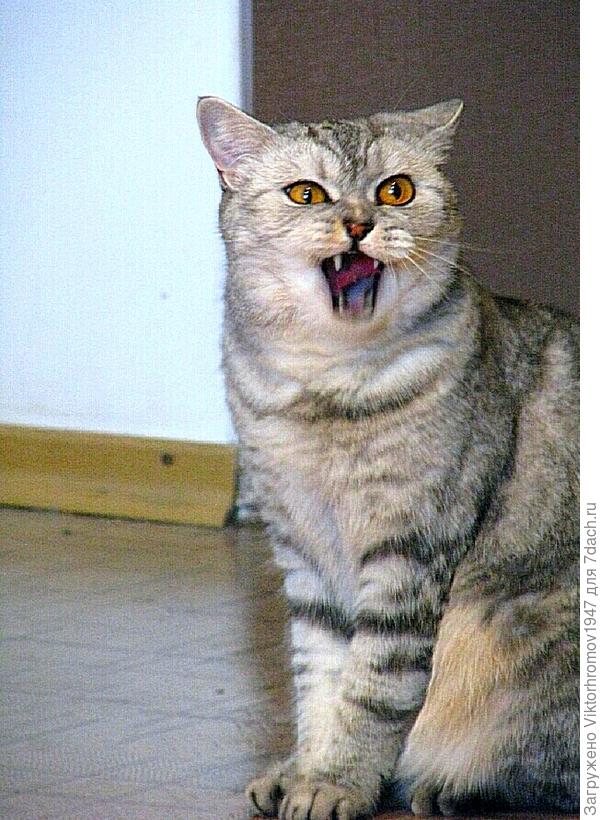 Лучше отойди!...