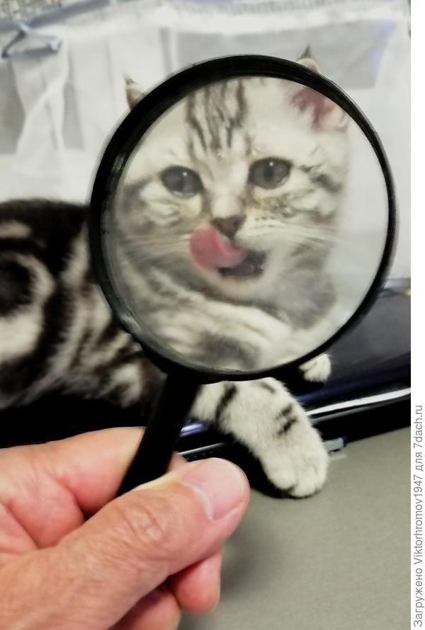 Не дразнить!