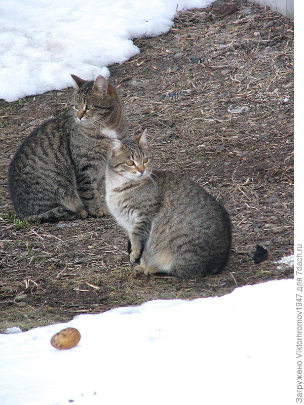 Что то Нас мало сегодня...