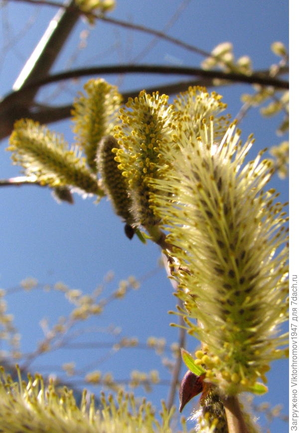 Небо  увидели голубое. + 15 ветра почти нет и последующие два дня обещают хорошие.