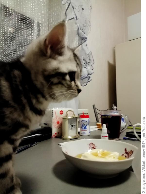 Творожок с мёдом.