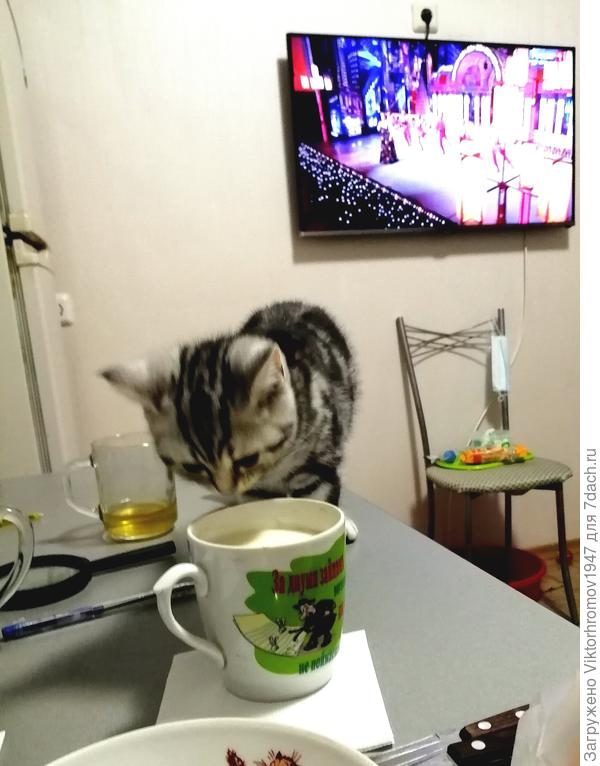 И молоко с блинчиком. Надо бежать за свой стол...