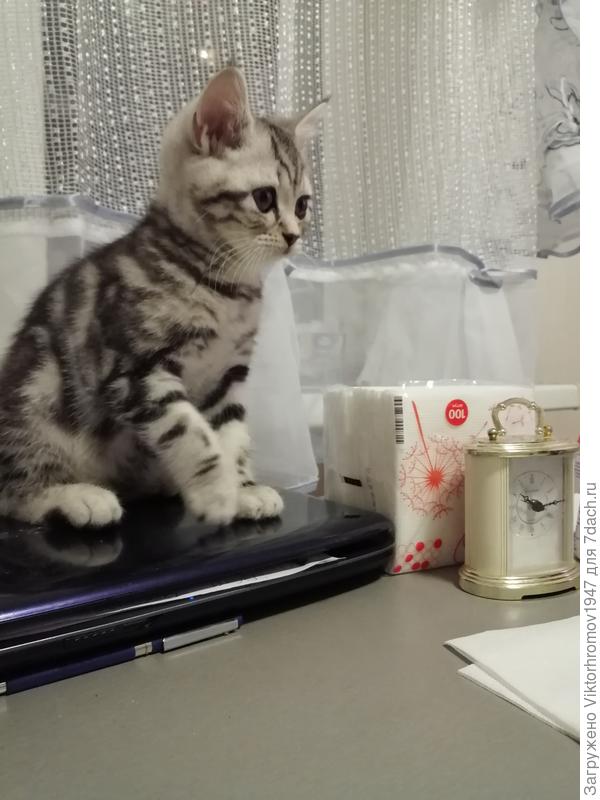 Там же фотомарафон показывают!