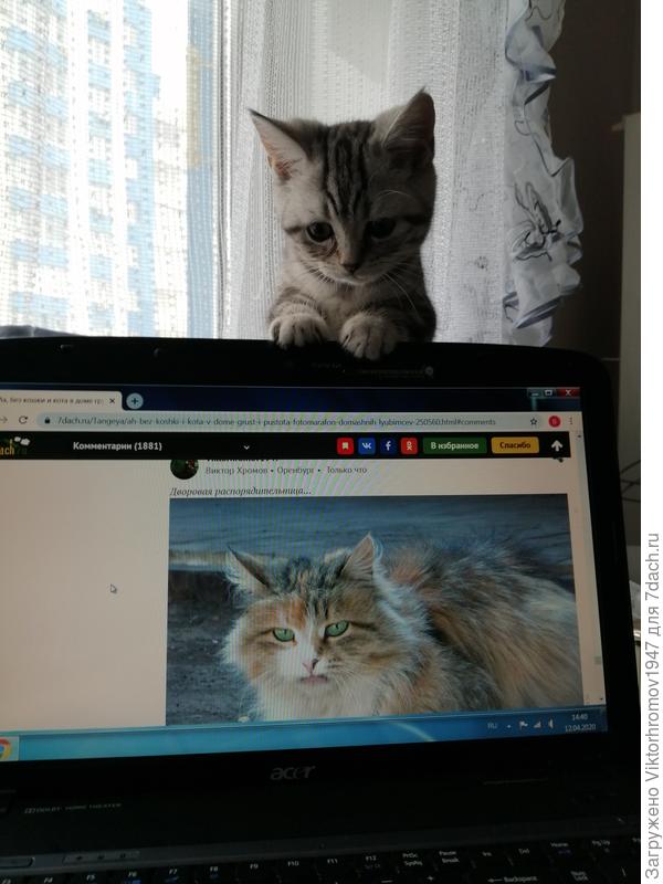 Ну вот... Я же говорил!