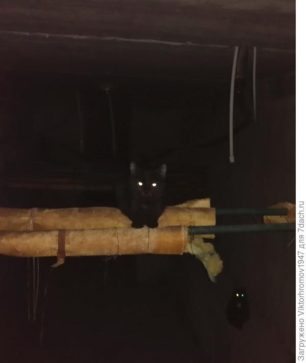 Найдите второе приведение.