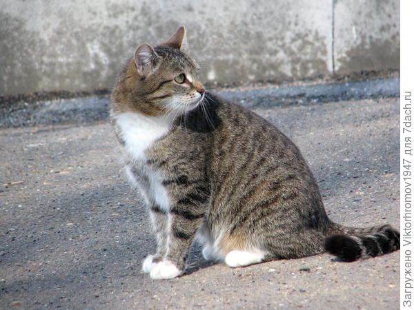 ...Жду друзей.