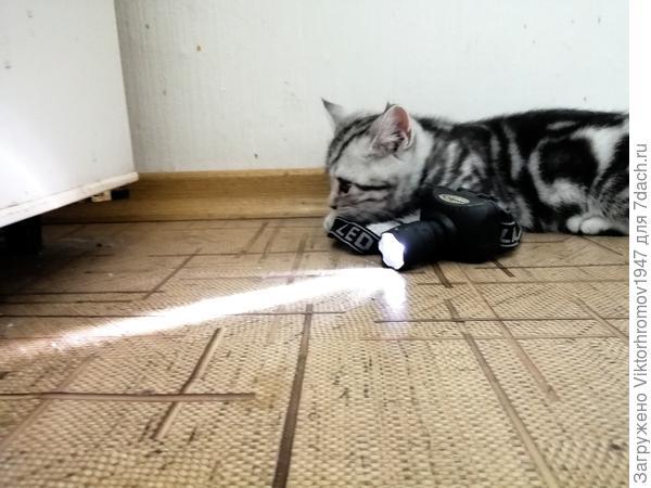 Без фонарика не видно