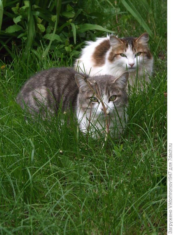 Кажется...Мы далеко зашли.